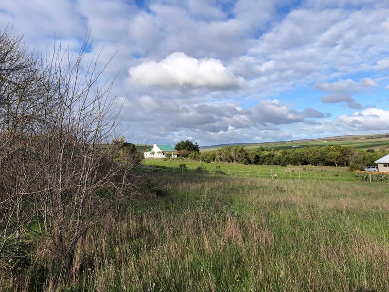 0 Bedroom Property for Sale in Baardskeerdersbos Western Cape